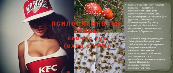 mix Касимов
