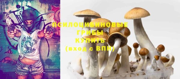 гидропоника Карталы