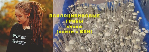 гидропоника Карталы