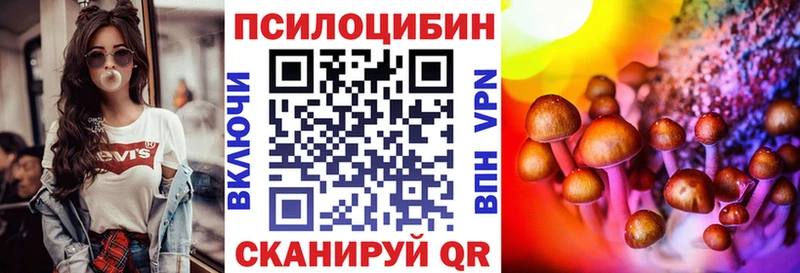 Купить где  Беломорск  Псилоцибиновые грибы MAGIC MUSHROOMS 